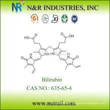 Bilirubin